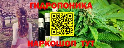 спиды Дубна