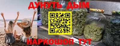 спиды Дубна