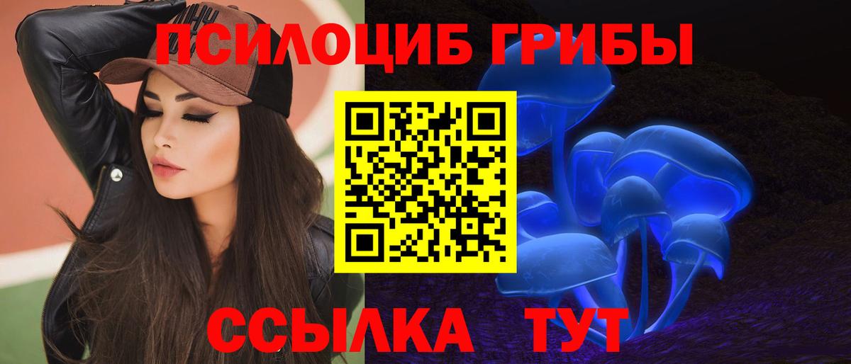 Галлюциногенные грибы GOLDEN TEACHER  Вход с VPN  Людиново  продажа наркотиков  Псилоцибиновые грибы GOLDEN TEACHER 
